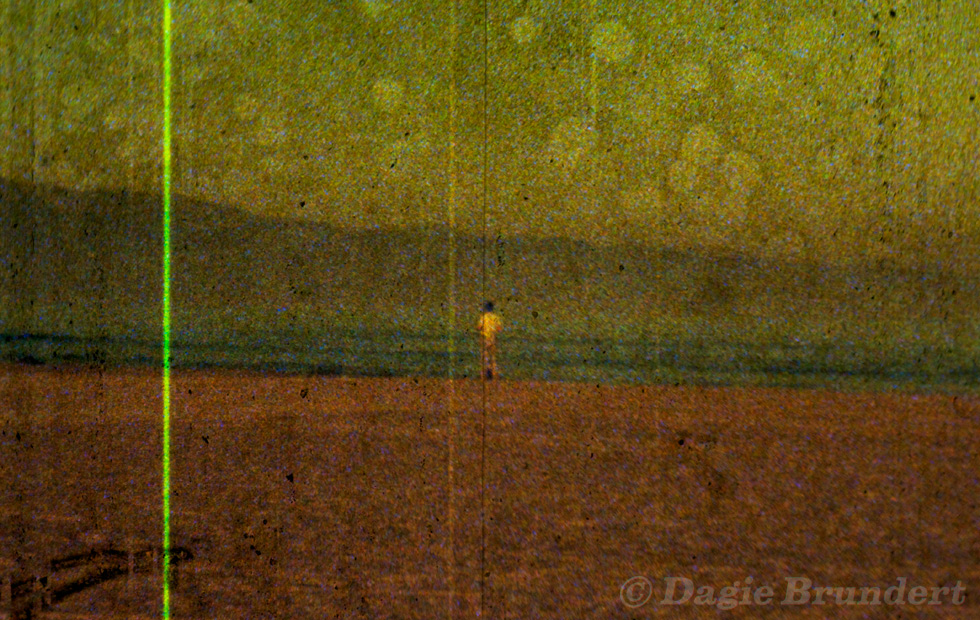 Venice Beach1